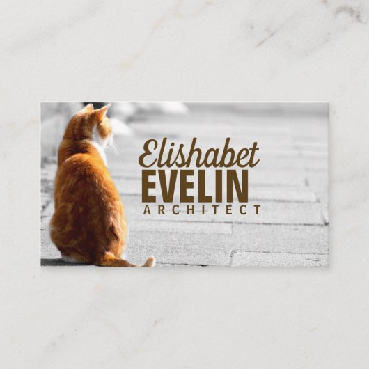 Sitting Cat op straat Visitekaartje (Voorkant)