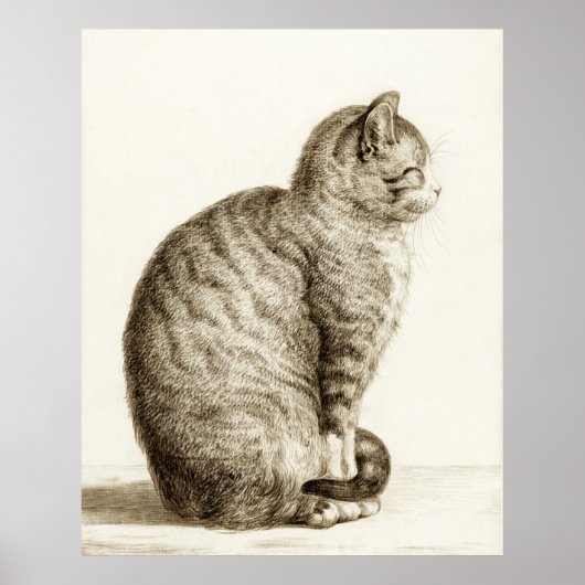 Sitting cat vintage sepia pencil drawing poster (Voorkant)
