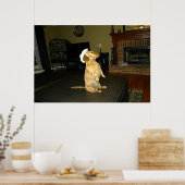 Sitting  Dachshund Framed Poster (Keuken)