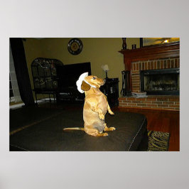 Sitting Dachshund Framed Poster