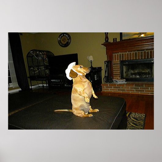 Sitting  Dachshund Framed Poster (Voorkant)