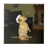 Sitting  Dachshund-Tegel Tegeltje (Voorkant)