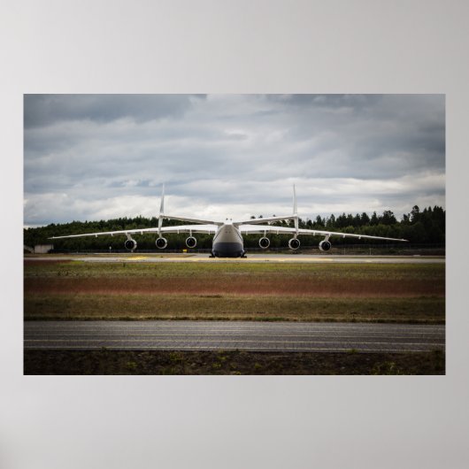 Sitting duck poster (Voorkant)