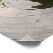 Sitting Duck Print (Hoek)