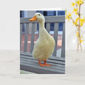 "SITTING DUCK" zegt ***MISSING YOU*** BOO HOO Kaart (Gele Bloem)