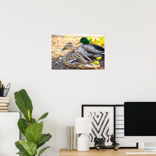 Sitting Ducks - Poster (Thuiskantoor)