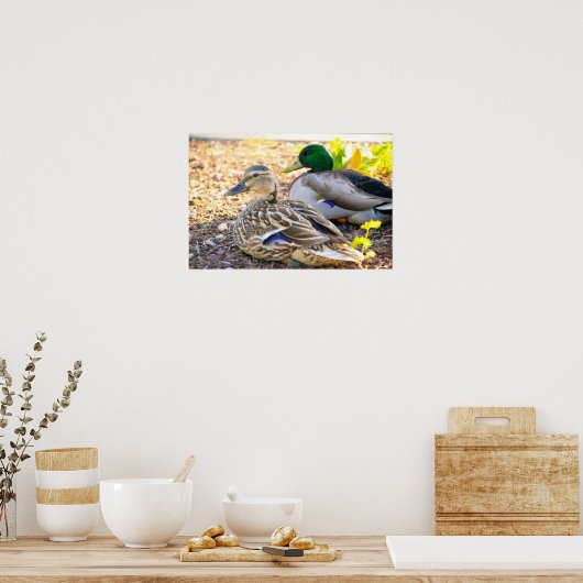 Sitting Ducks - Poster (Keuken)