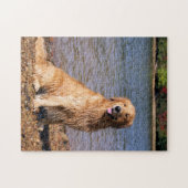 Sitting Golden Retriever Legpuzzel (Horizontaal)
