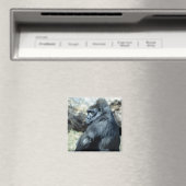 Sitting Gorilla Magneet (Insitu (Vaatwasser))