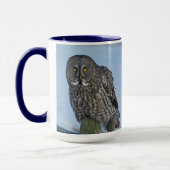Sitting Great Grey Owl and Snow Wildlife Raptor Mok (Links)