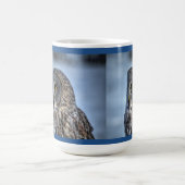 Sitting Great Grey Owl & Snow Wildlife Raptor Koffiemok (Center)