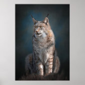 Sitting iberian lynx poster (Voorkant)