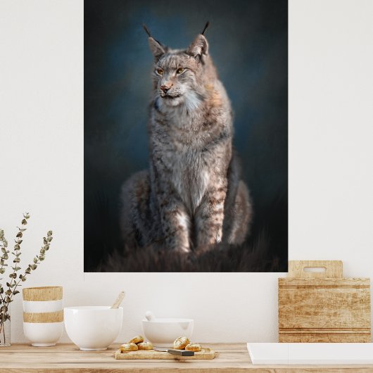 Sitting iberian lynx poster (Keuken)