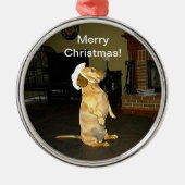 Sitting  kerstversiering Dachshund Metalen Ornament (Voorkant)