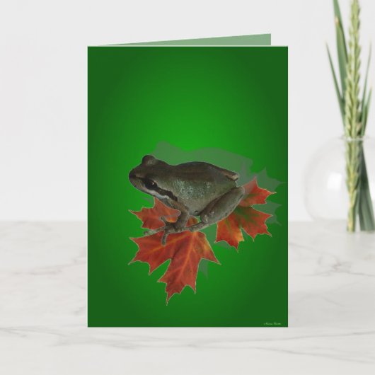 Sitting on Leaves Kaart (Voorkant)