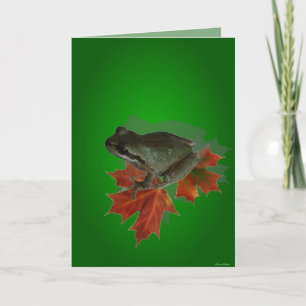 Sitting on Leaves Kaart