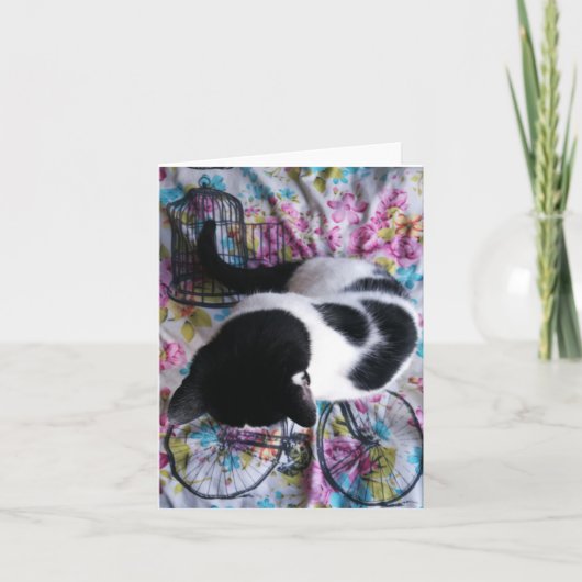 Sitting Pretty Kitty Notecard Kaart (Voorkant)