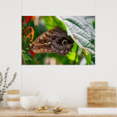 Sitting Still Poster (Keuken)