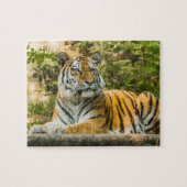 Sitting Tiger Jigzaag Puzzle Legpuzzel (Horizontaal)