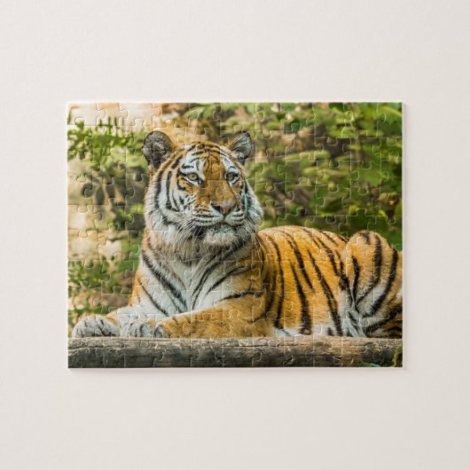 Sitting Tiger Jigzaag Puzzle Legpuzzel (Horizontaal)
