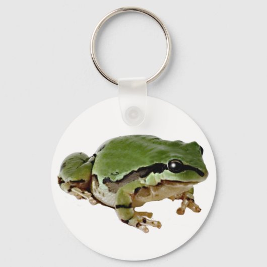 Sitting Tree Kikker Foto over White Sleutelhanger (Voorkant)