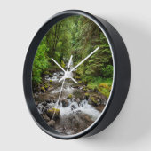 Siuslaw National Forest | Sweet Creek (Hoek)