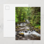 Siuslaw National Forest | Sweet Creek Briefkaart (Voorkant / Achterkant)