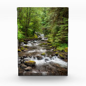 Siuslaw National Forest | Sweet Creek Fotoblokken (Voorkant)