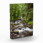 Siuslaw National Forest | Sweet Creek Fotoblokken (Links)