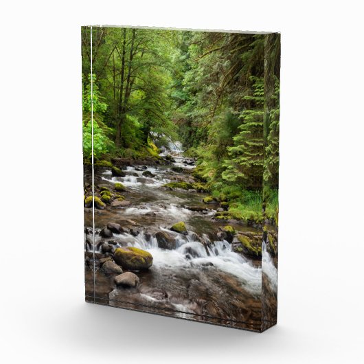 Siuslaw National Forest | Sweet Creek Fotoblokken (Rechts)
