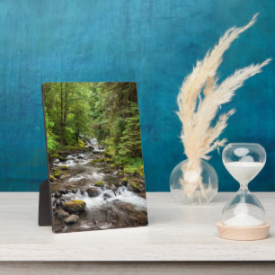 Siuslaw National Forest Sweet Creek Fotoplaat