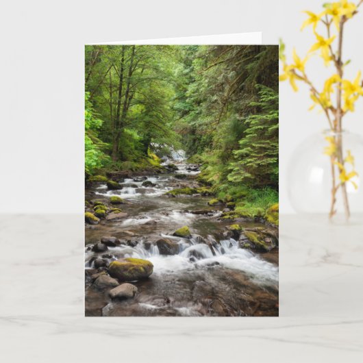 Siuslaw National Forest | Sweet Creek Kaart (Gele Bloem)