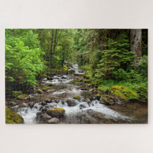 Siuslaw National Forest   Sweet Creek Legpuzzel