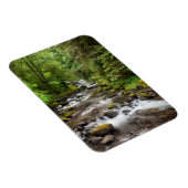 Siuslaw National Forest | Sweet Creek Magneet (Rechterzijde)