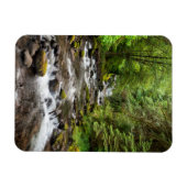 Siuslaw National Forest | Sweet Creek Magneet (Horizontaal)