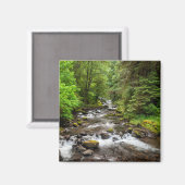 Siuslaw National Forest | Sweet Creek Magneet (Voorkant / Achterkant)