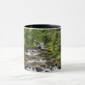 Siuslaw National Forest | Sweet Creek Mok (Midden)