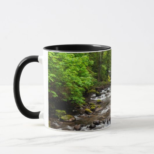 Siuslaw National Forest | Sweet Creek Mok (Links)