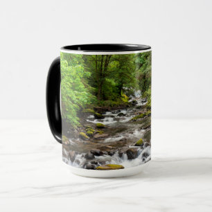 Siuslaw National Forest   Sweet Creek Mok