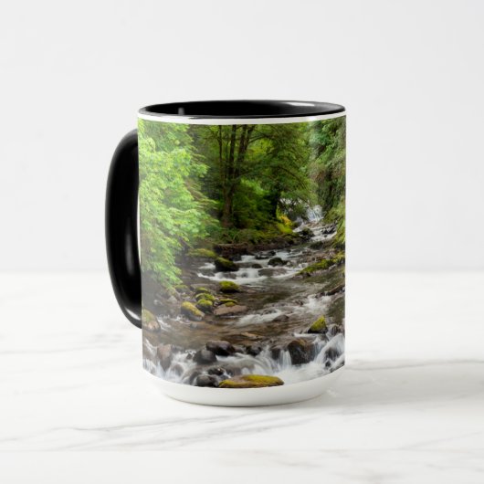 Siuslaw National Forest | Sweet Creek Mok (Voorkant links)