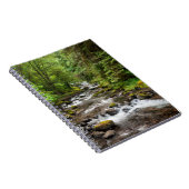 Siuslaw National Forest | Sweet Creek Notitieboek (Rechterzijde)