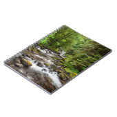 Siuslaw National Forest | Sweet Creek Notitieboek (Linkerzijde)