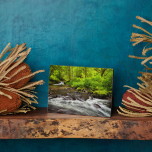 Siuslaw National Forest, Sweet Creek, Oregon Fotoplaat