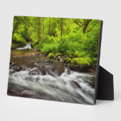 Siuslaw National Forest, Sweet Creek, Oregon Fotoplaat (Zijkant)