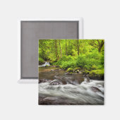 Siuslaw National Forest, Sweet Creek, Oregon Magneet (Voorkant / Achterkant)