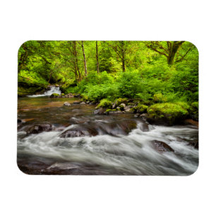 Siuslaw National Forest, Sweet Creek, Oregon Magneet