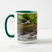 Siuslaw National Forest, Sweet Creek, Oregon Mok (Links)