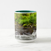 Siuslaw National Forest, Sweet Creek, Oregon Mok (Midden)