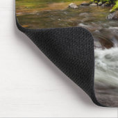 Siuslaw National Forest, Sweet Creek, Oregon Muismat (Hoek)