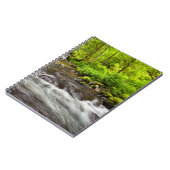 Siuslaw National Forest, Sweet Creek, Oregon Notitieboek (Linkerzijde)